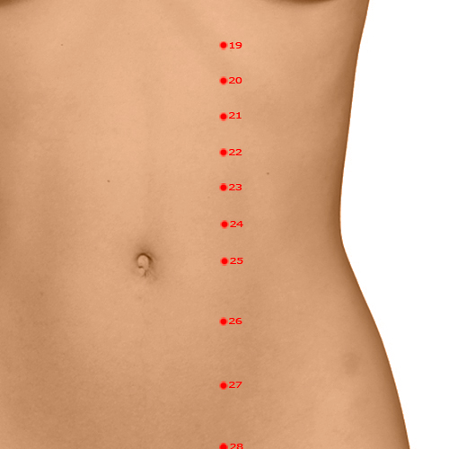 ST24 Acupuncture Point - Stomach Meridian Meridian - Slippery Flesh Gate - Dermal view