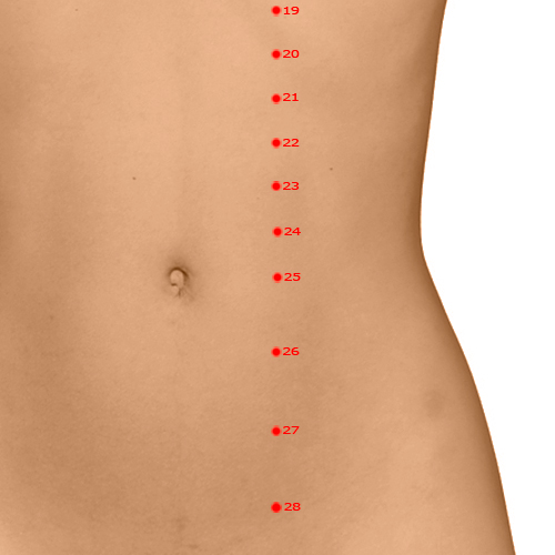 ST25 Acupuncture Point - Stomach Meridian Meridian - Celestial Pivot - Dermal view