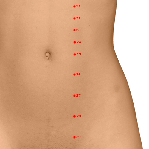 ST26 Acupuncture Point - Stomach Meridian Meridian - Outer Mound - Dermal view