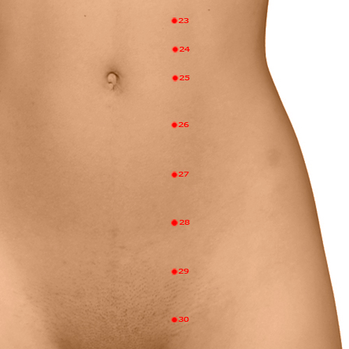 ST27 Acupuncture Point - Stomach Meridian Meridian - Great Bulge - Dermal view