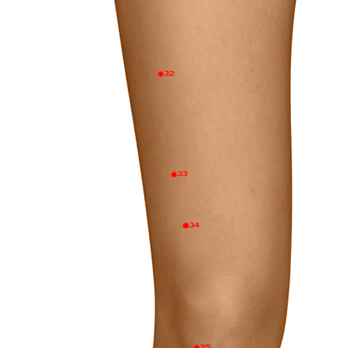 ST33 Acupuncture Point - Stomach Meridian Meridian - Yin Market - Dermal view