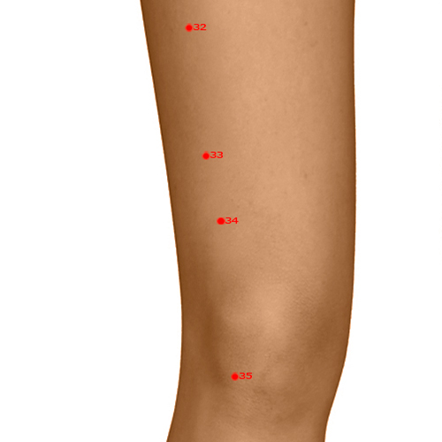 ST34 Acupuncture Point - Stomach Meridian Meridian - Ridge Mound - Dermal view