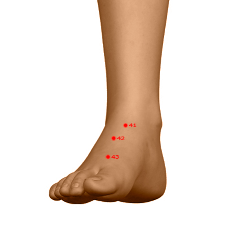 ST41 Acupuncture Point - Stomach Meridian Meridian - Dividing Cleft - Dermal view