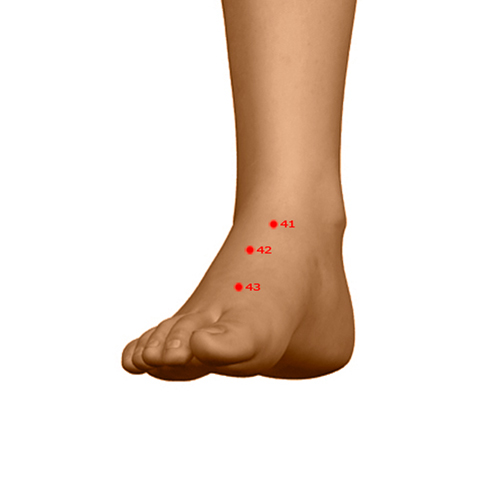 ST42 Acupuncture Point - Stomach Meridian Meridian - Surging Yang - Dermal view