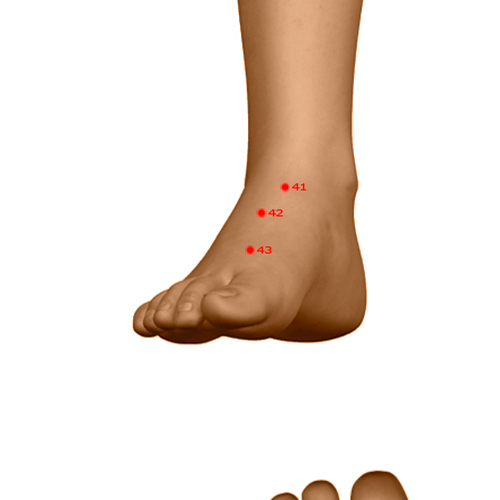 ST43 Acupuncture Point - Stomach Meridian Meridian - Sunken Valley - Dermal view
