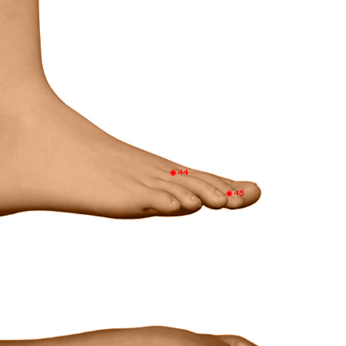 ST44 Acupuncture Point - Stomach Meridian Meridian - Inner Court - Dermal view