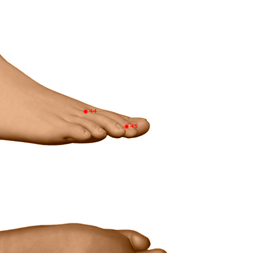ST45 Acupuncture Point - Stomach Meridian Meridian - Running Point - Dermal view